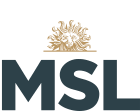MSL/TLG (Publicis Groupe)